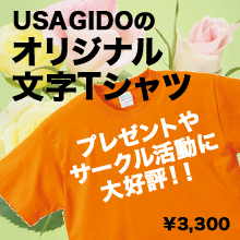 オリジナル文字Tシャツ